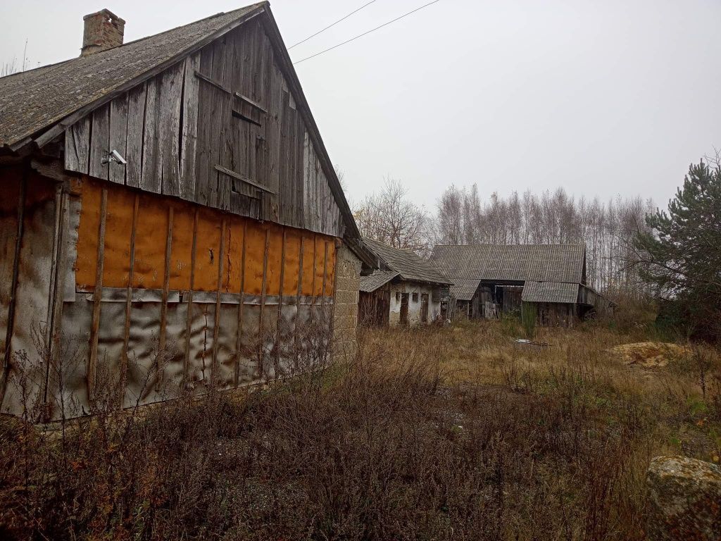 Działka rolno-budowlana Sworzyce. Zdjęcie 15