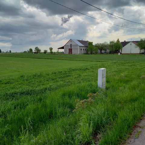 siedlisko Tończa Janówki. Zdjęcie 1