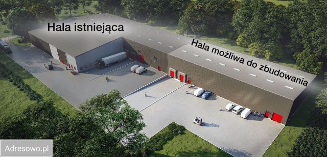 Hala/magazyn Grudziądz, droga Kurpiowska. Zdjęcie 1