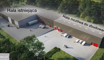 Hala/magazyn Grudziądz, droga Kurpiowska