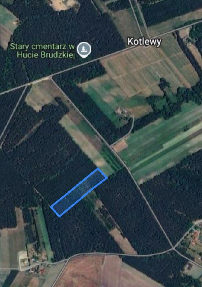 Działka rolna Brudzice. Zdjęcie 1