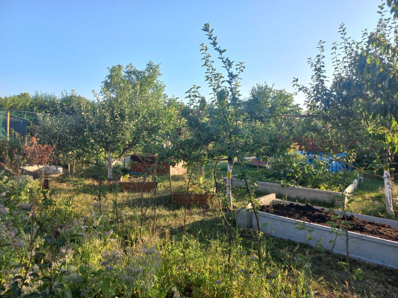 Działka rod Gliwice Łabędy, ul. Klasztorna. Zdjęcie 6