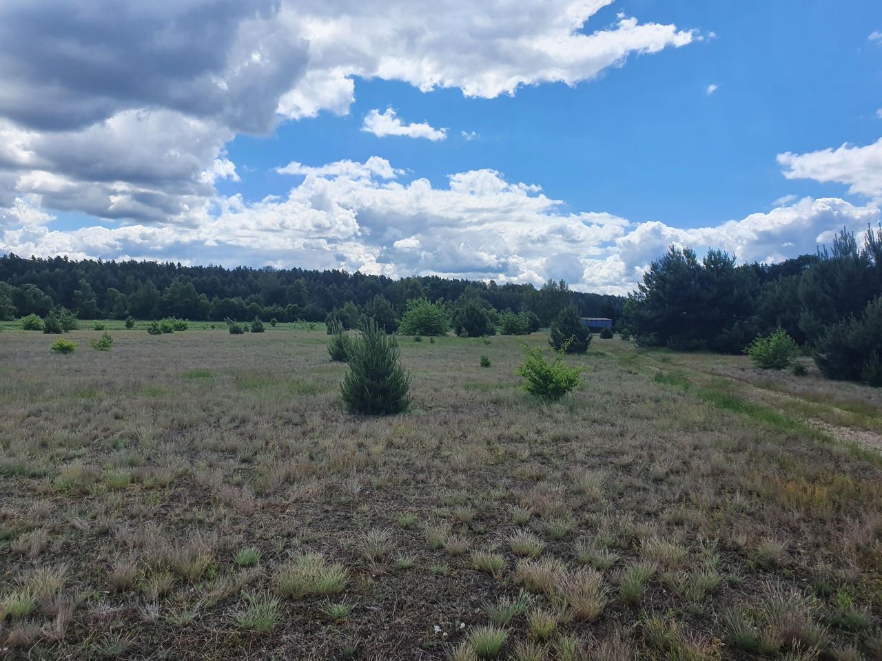 Działka budowlana Kępa Niemojewska. Zdjęcie 15