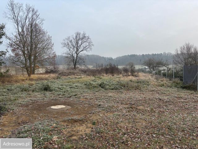 Działka budowlana Świecko. Zdjęcie 1