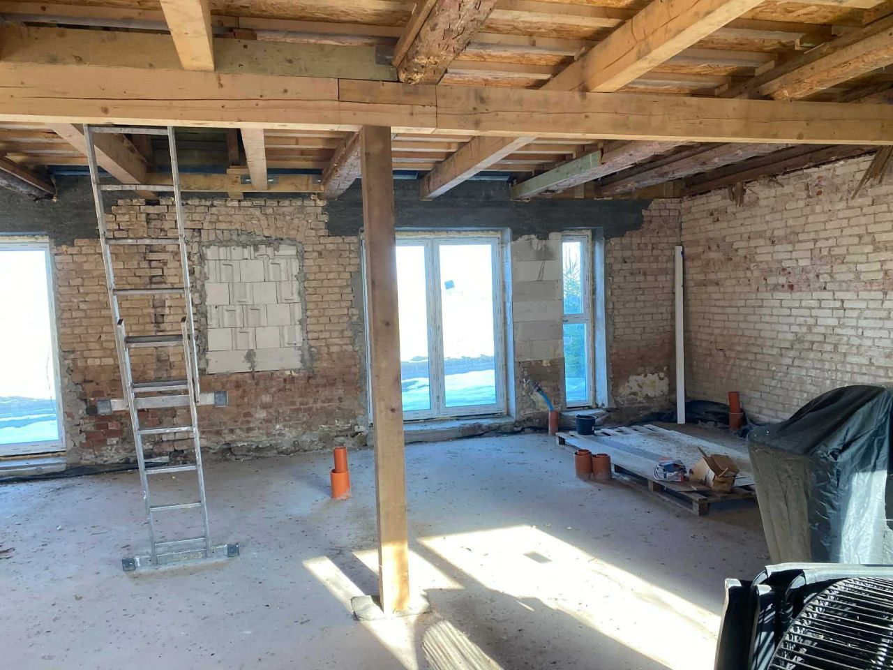 bliźniak Notyst Mały. Zdjęcie 8