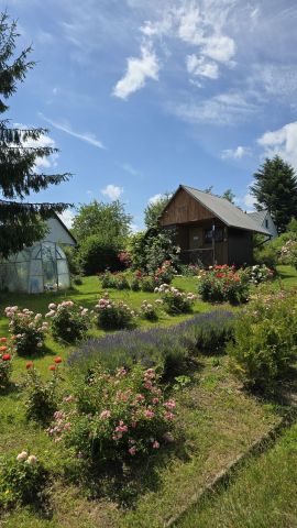 Działka rod Krosno. Zdjęcie 1