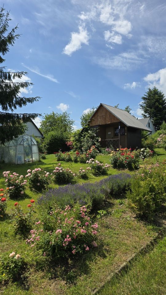 Działka rod Krosno. Zdjęcie 1