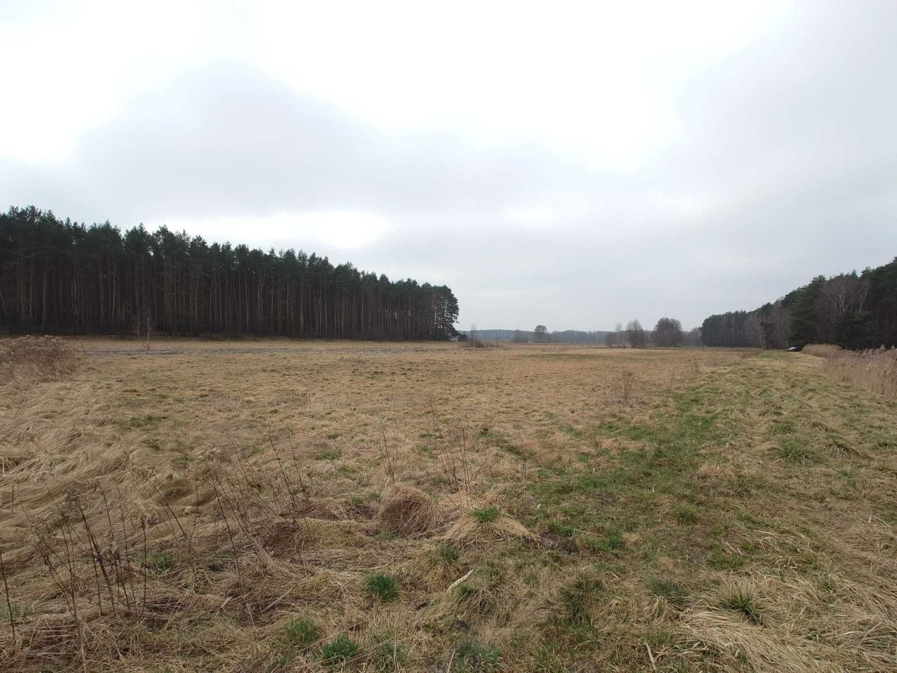 Działka budowlana Nowe Smarchowice. Zdjęcie 2