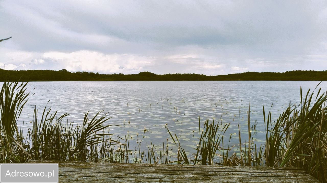 Działka rolno-budowlana Jasiniec. Zdjęcie 5