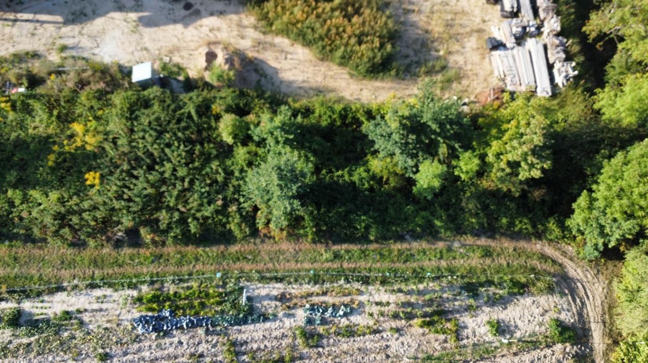 Działka budowlana Suchoraba. Zdjęcie 7