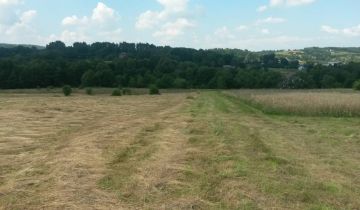 Działka rolno-budowlana Głogoczów