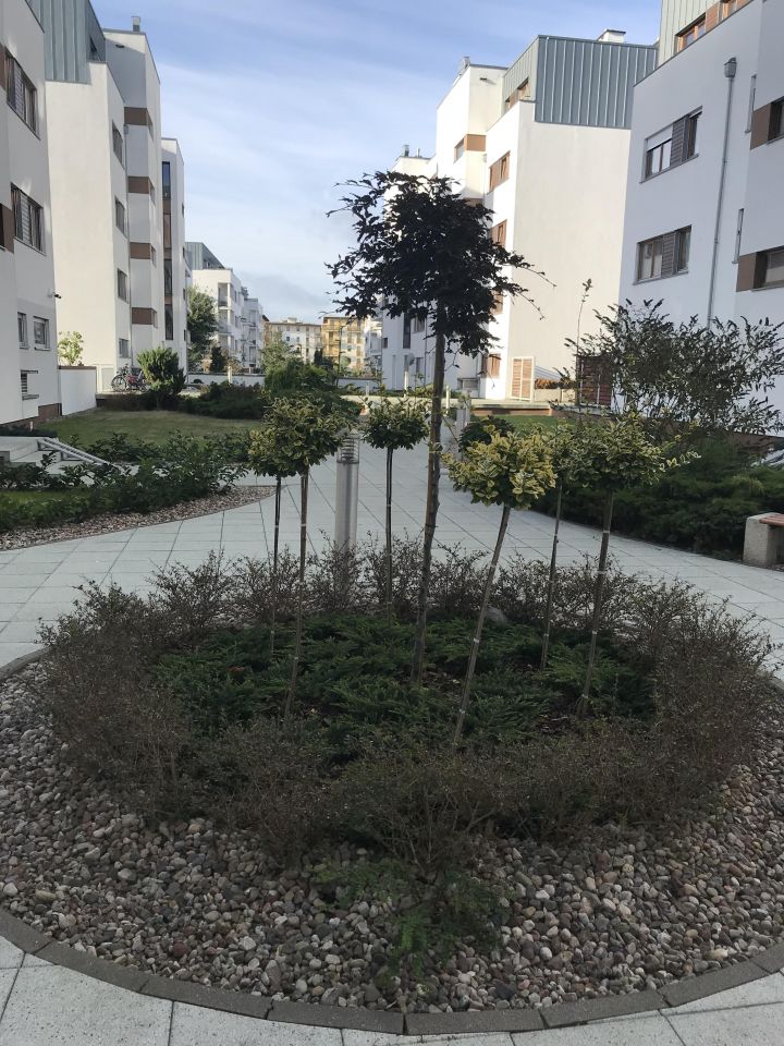 Mieszkanie 3-pokojowe Świnoujście, ul. Wojska Polskiego. Zdjęcie 16