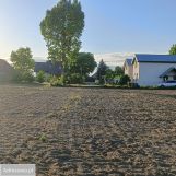 Działka budowlana Przecław, ul. Leśna. Zdjęcie 4