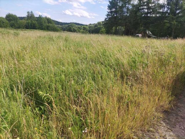 Działka Sanok Olchowce. Zdjęcie 1