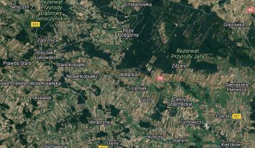 Działka leśna Jedlanka