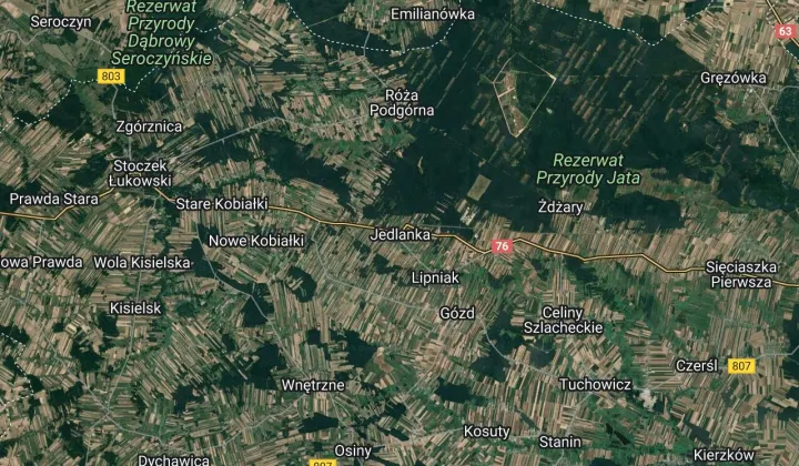 Działka leśna Jedlanka