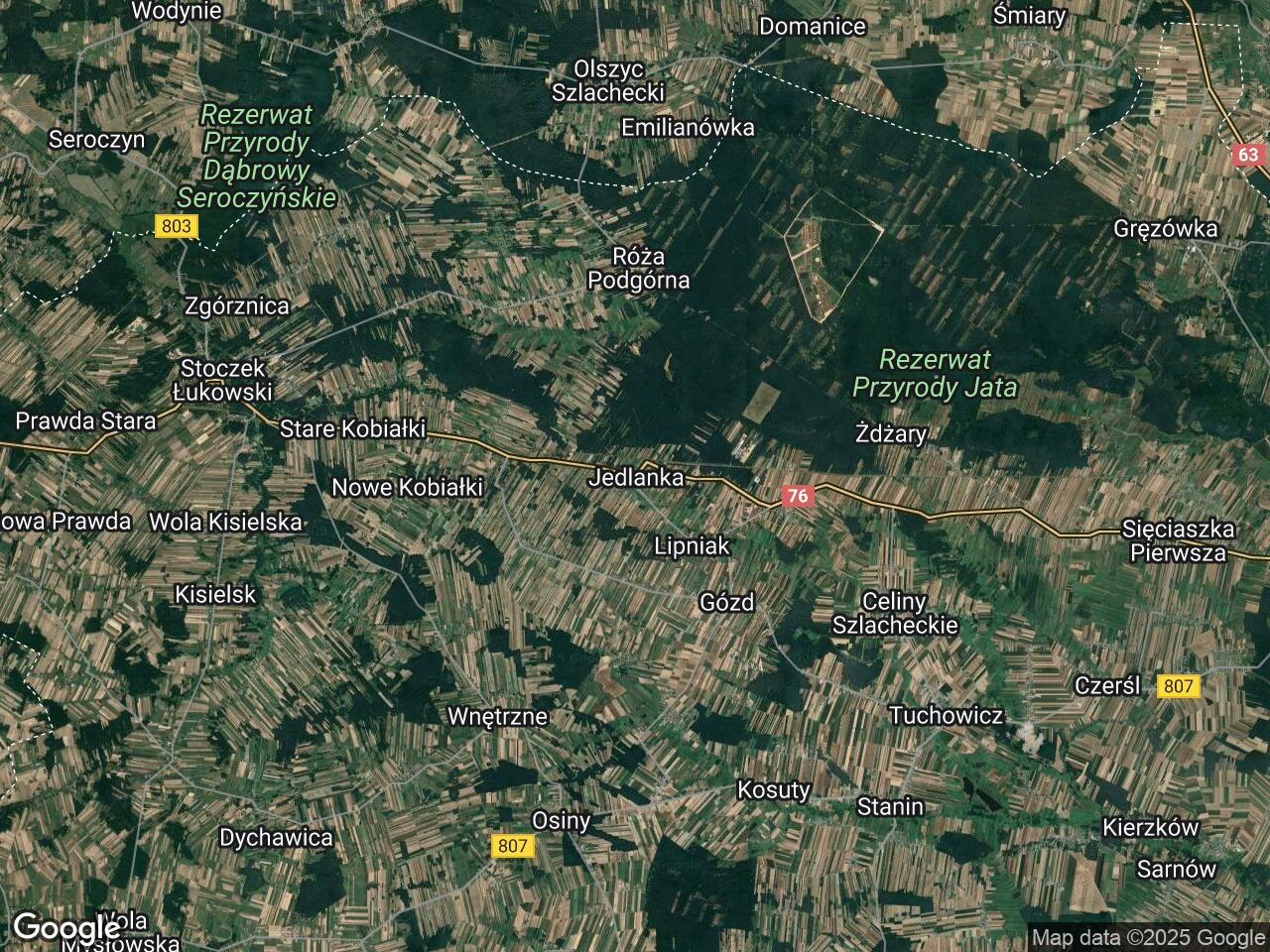 Działka leśna Jedlanka