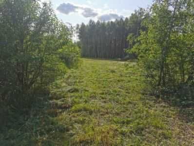 Działka Wodzierady. Zdjęcie 1