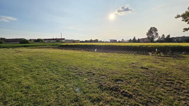 Działka rolno-budowlana Piskorowice. Zdjęcie 1