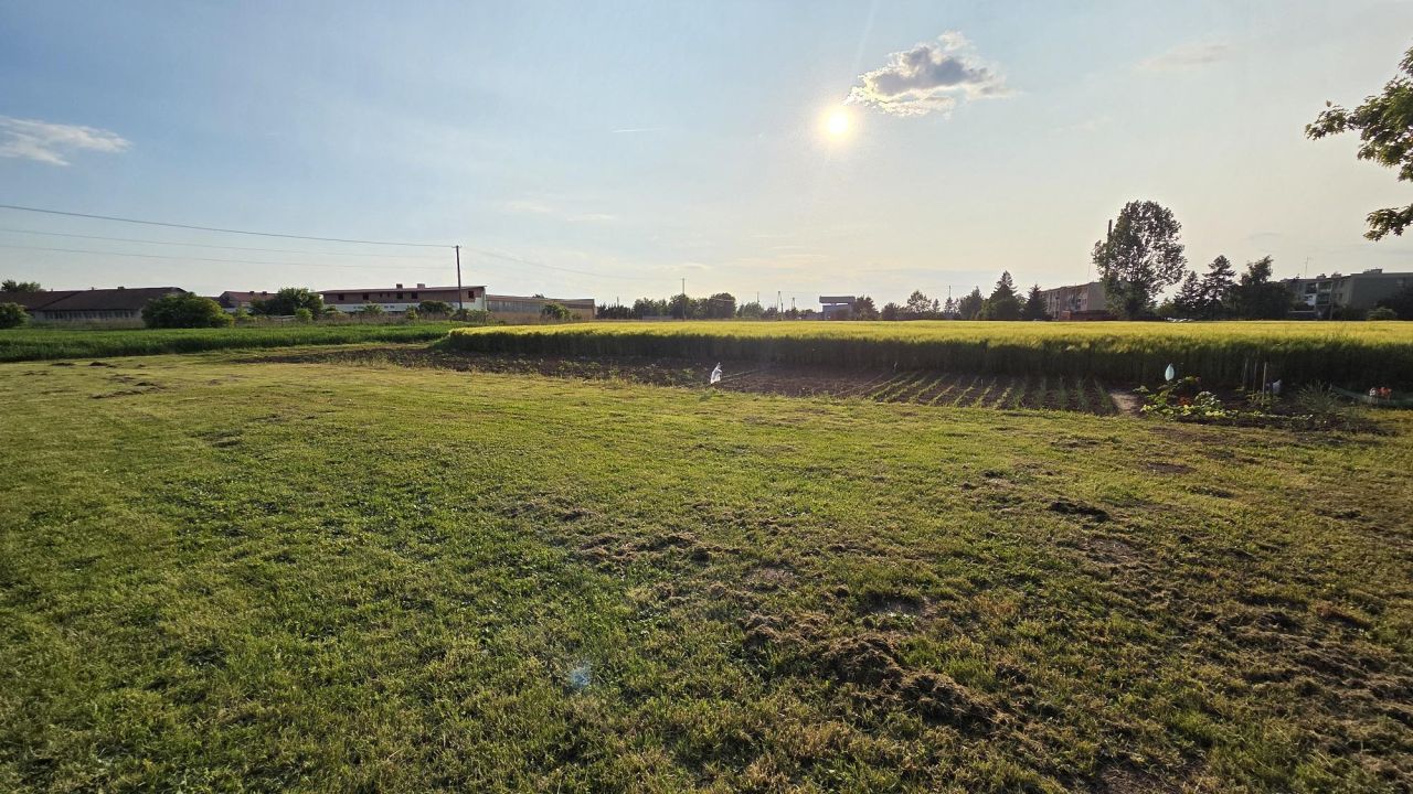 Działka rolno-budowlana Piskorowice