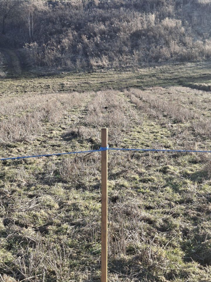 Działka budowlana Kozierów, ul. Lipowa. Zdjęcie 2