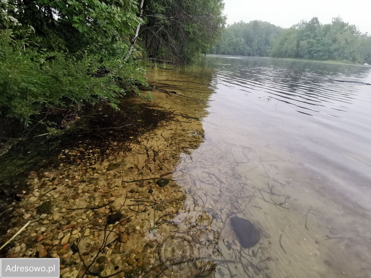 Działka Cybulin. Zdjęcie 6