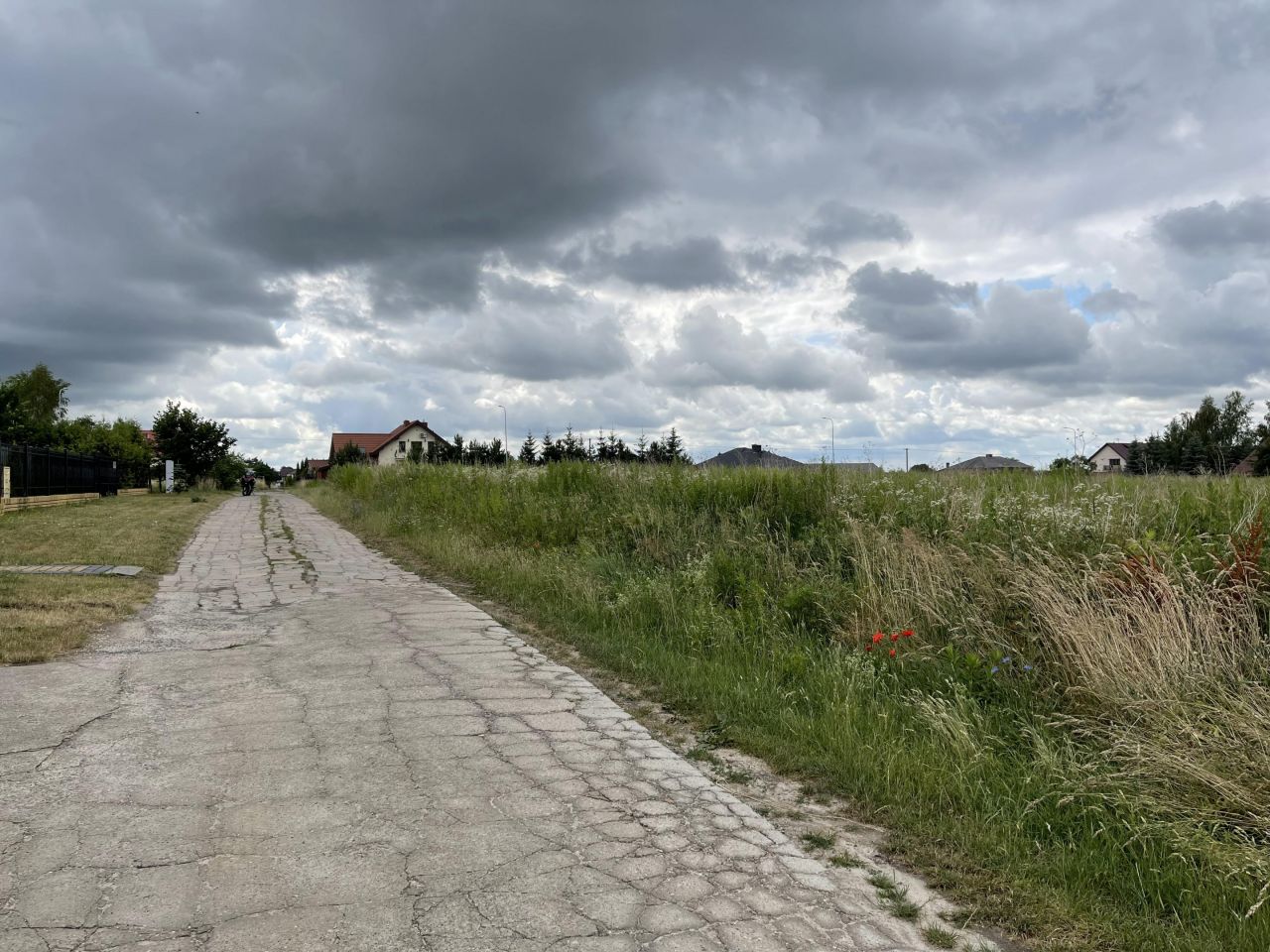 Działka budowlana Prawiedniki, ul. Modrzewiowa