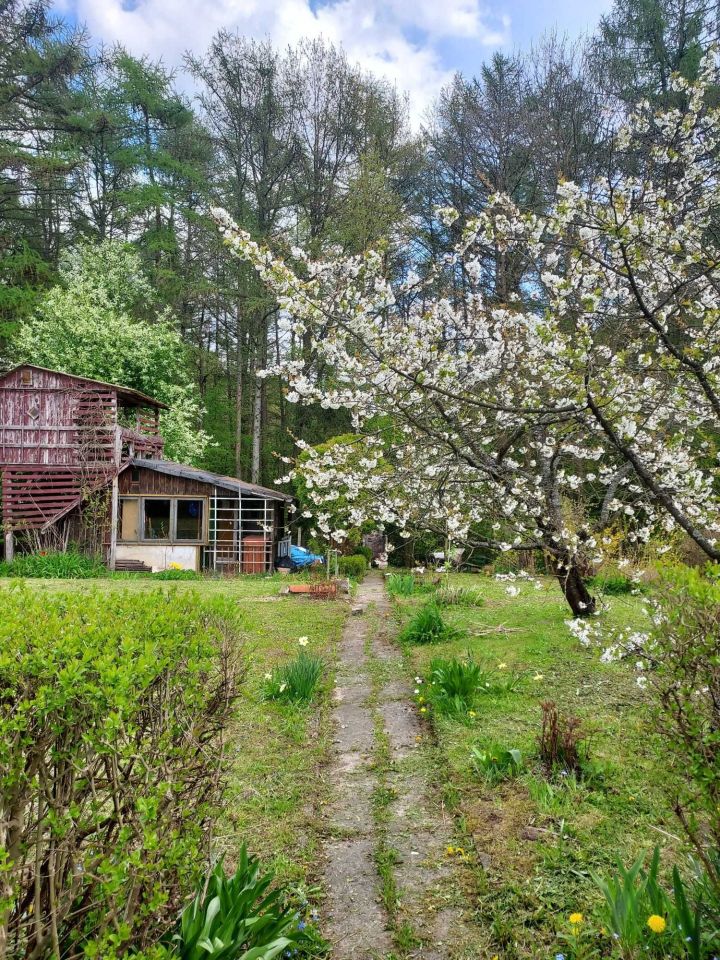 Działka rekreacyjna Elbląg, ul. Królewiecka