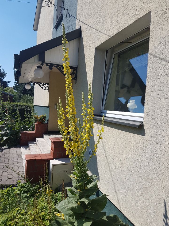 dom wolnostojący, 7 pokoi Warszawa Wawer, ul. Rogatkowa. Zdjęcie 8