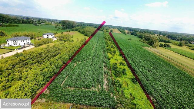 Działka inwestycyjna Natolin. Zdjęcie 1