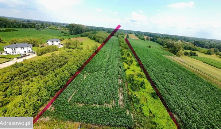 Działka inwestycyjna Natolin