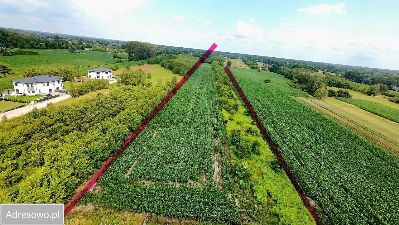 Działka inwestycyjna Natolin