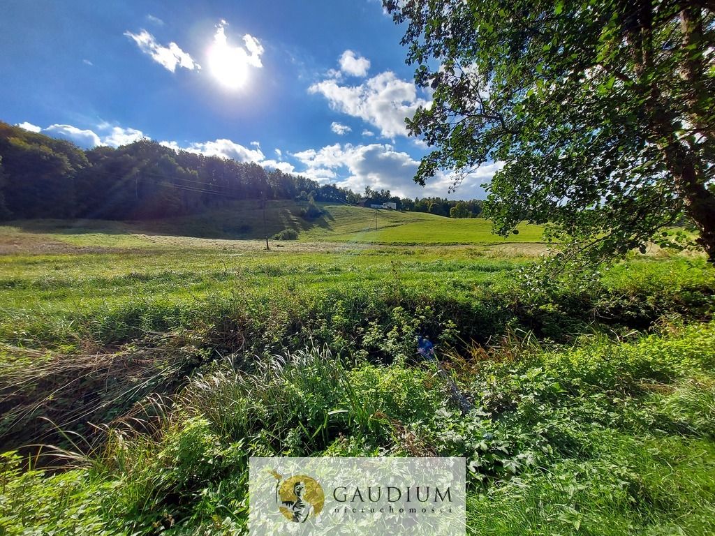 Działka Kobysewo. Zdjęcie 16