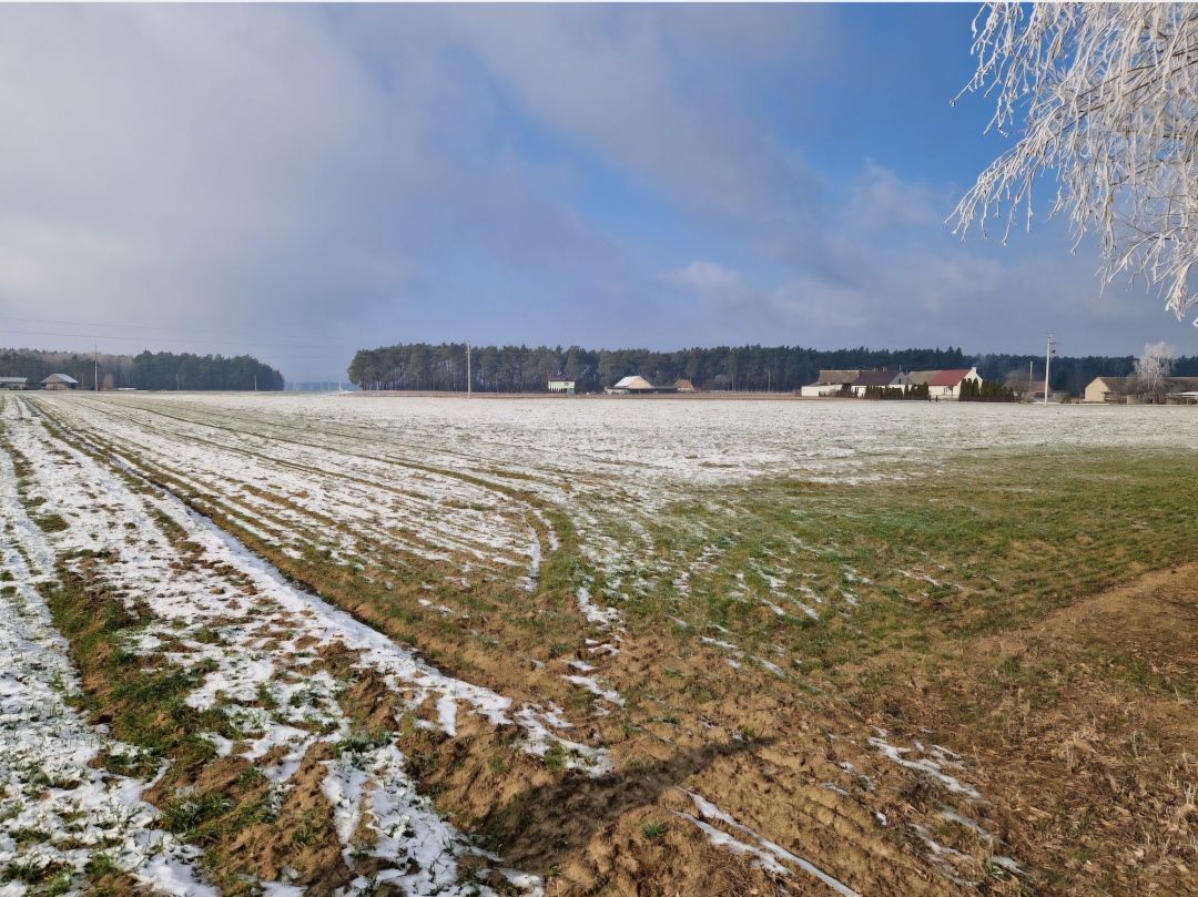 Działka budowlana Chynowa. Zdjęcie 3