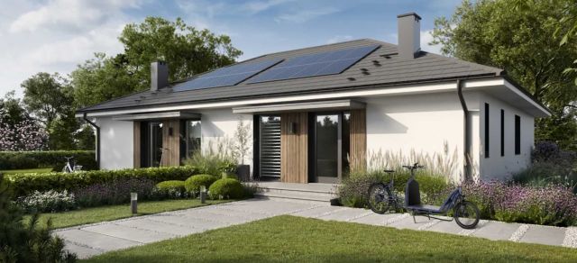 bliźniak Zawonia. Zdjęcie 1