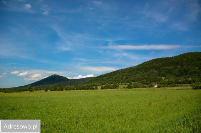 Działka budowlana Jaworek. Zdjęcie 1