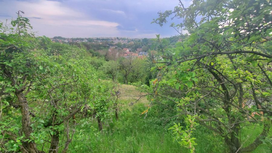 Działka rod Gdańsk. Zdjęcie 20