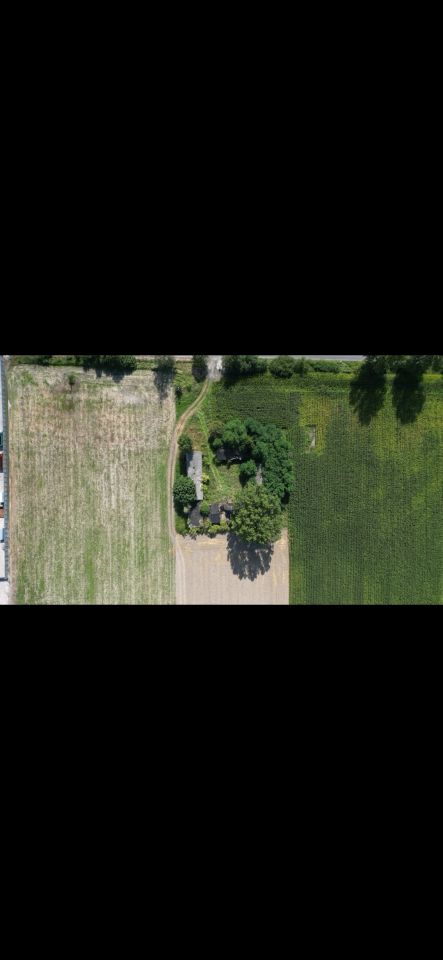 Działka budowlana Skotniki, Skotniki. Zdjęcie 6