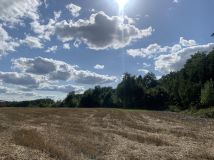 Działka budowlana Wińsko, ul. Wincentego Witosa. Zdjęcie 2