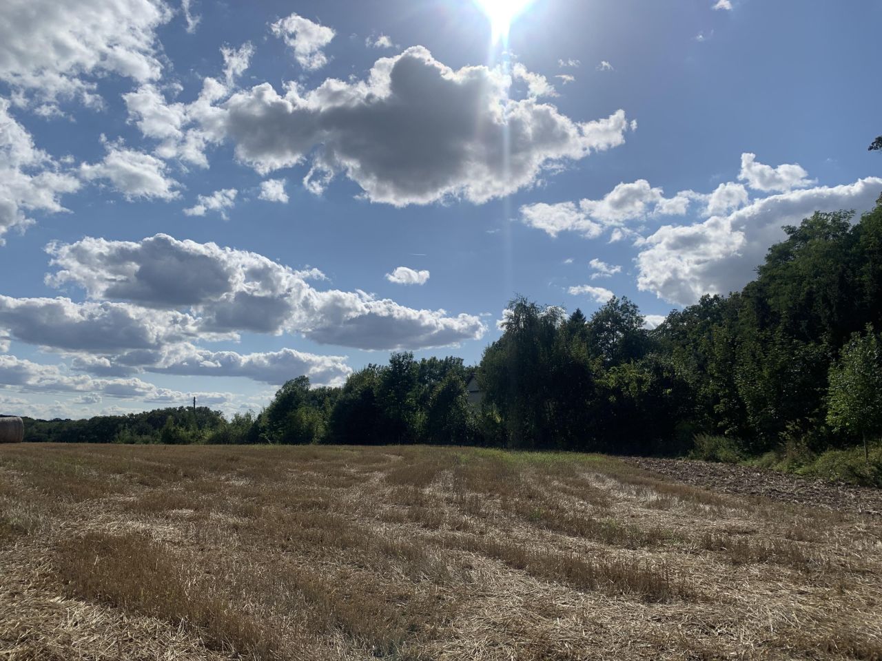 Działka budowlana Wińsko, ul. Wincentego Witosa. Zdjęcie 3