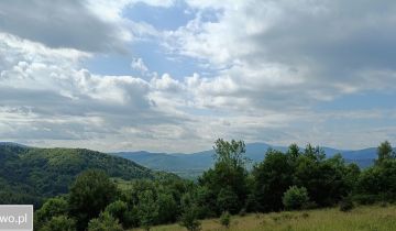 Działka rolna Mutne