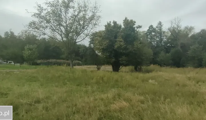 Działka rolna Gołkowice, ul. Podlaska