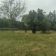 Działka rolna Gołkowice, ul. Podlaska. Zdjęcie 1