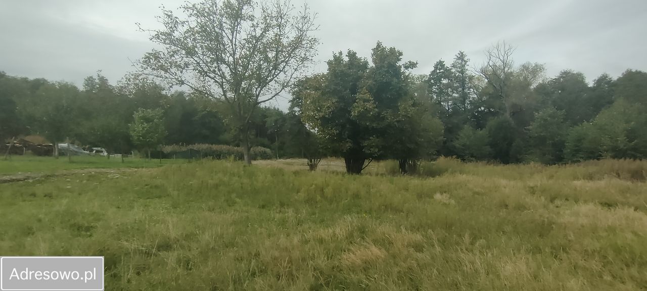 Działka rolna Gołkowice, ul. Podlaska