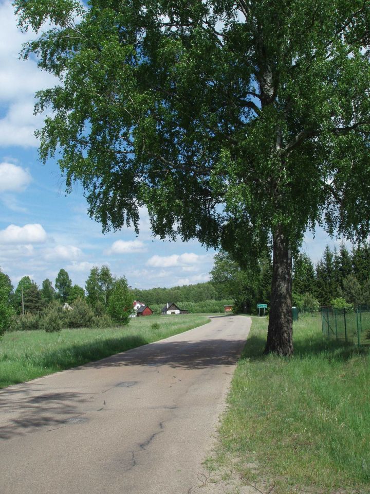 Działka budowlana Natać Wielka. Zdjęcie 5