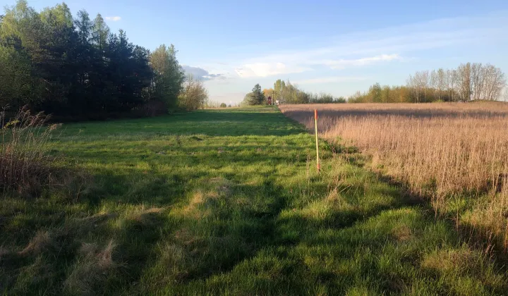 Działka budowlana Stok Lacki, ul. Pałacowa