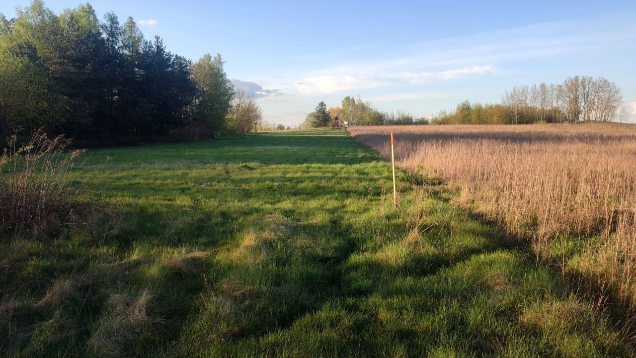 Działka budowlana Stok Lacki, ul. Pałacowa. Zdjęcie 1