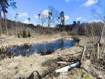 Działka rolno-budowlana Stary Wiec. Zdjęcie 1