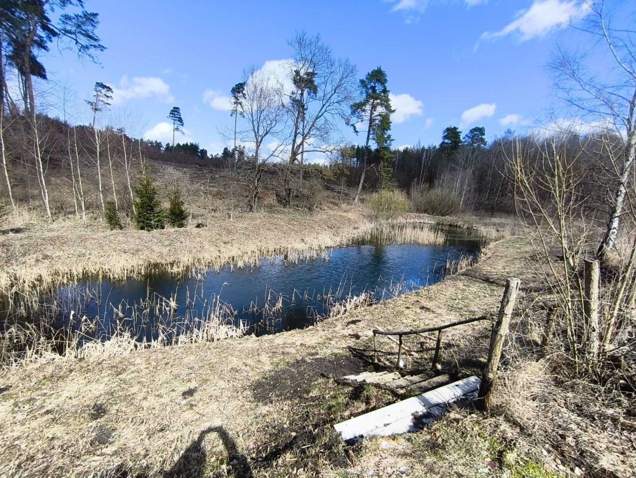 Działka rolno-budowlana Stary Wiec. Zdjęcie 2