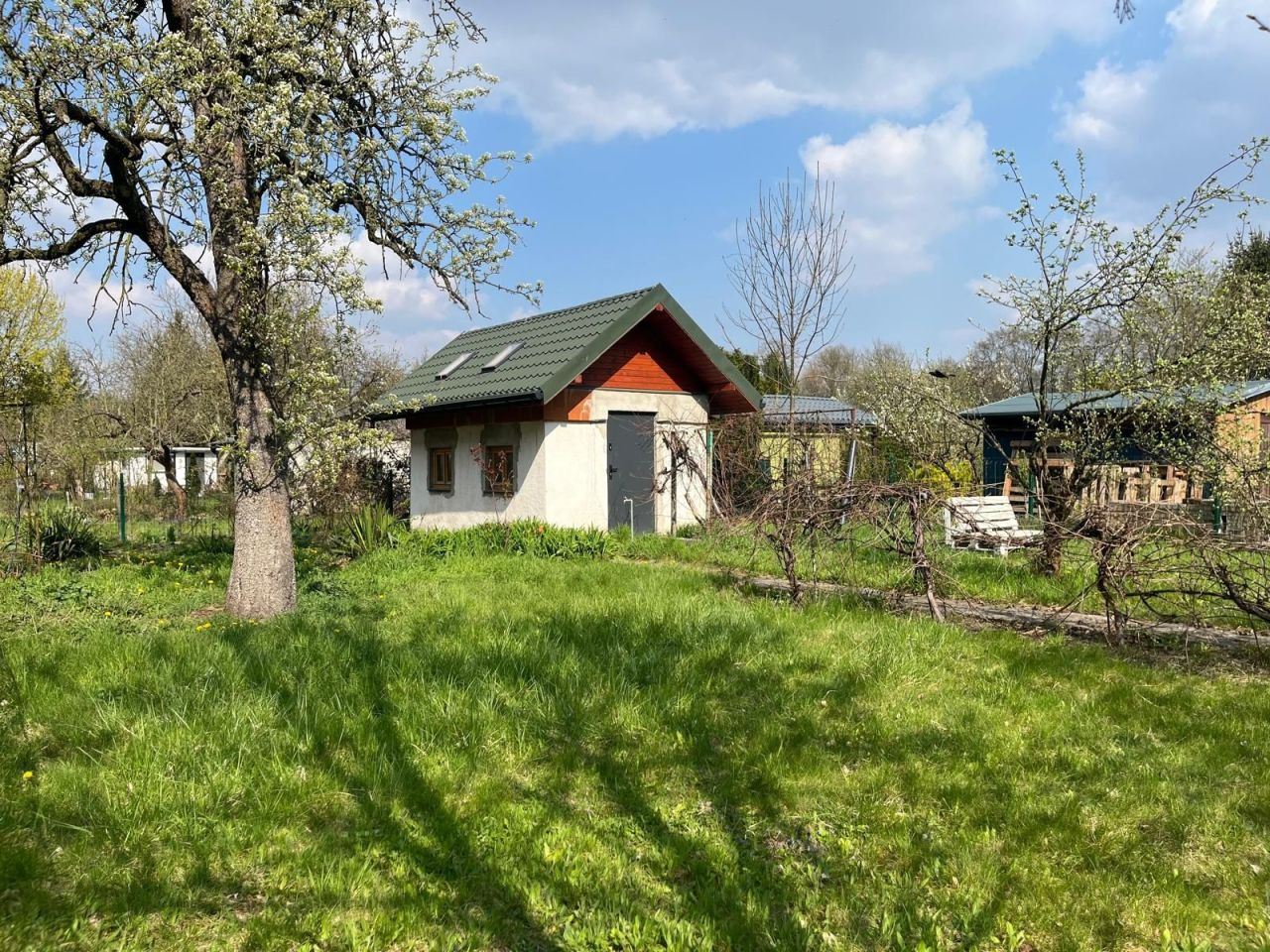 Działka rod Wrocław Śródmieście. Zdjęcie 1